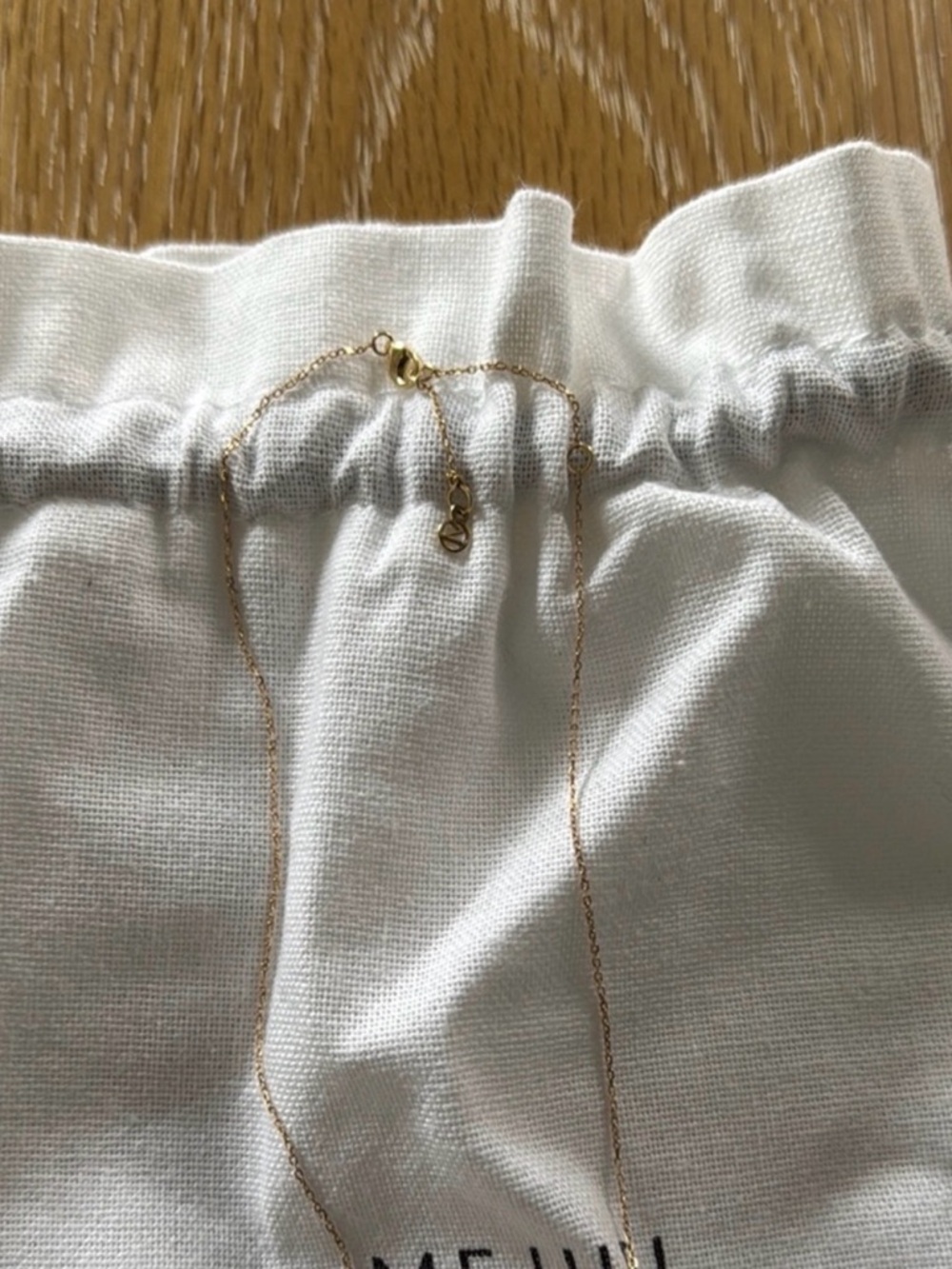 EUC! Mejuri Leo 14K Gold Charm Pendant + 14K Delicate Chain Necklace - Picture 3 of 6